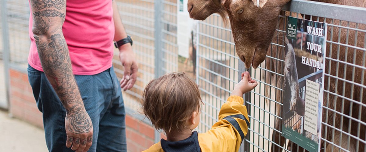 Vauxhall City Farm child and carer feeding goat - wide angle
