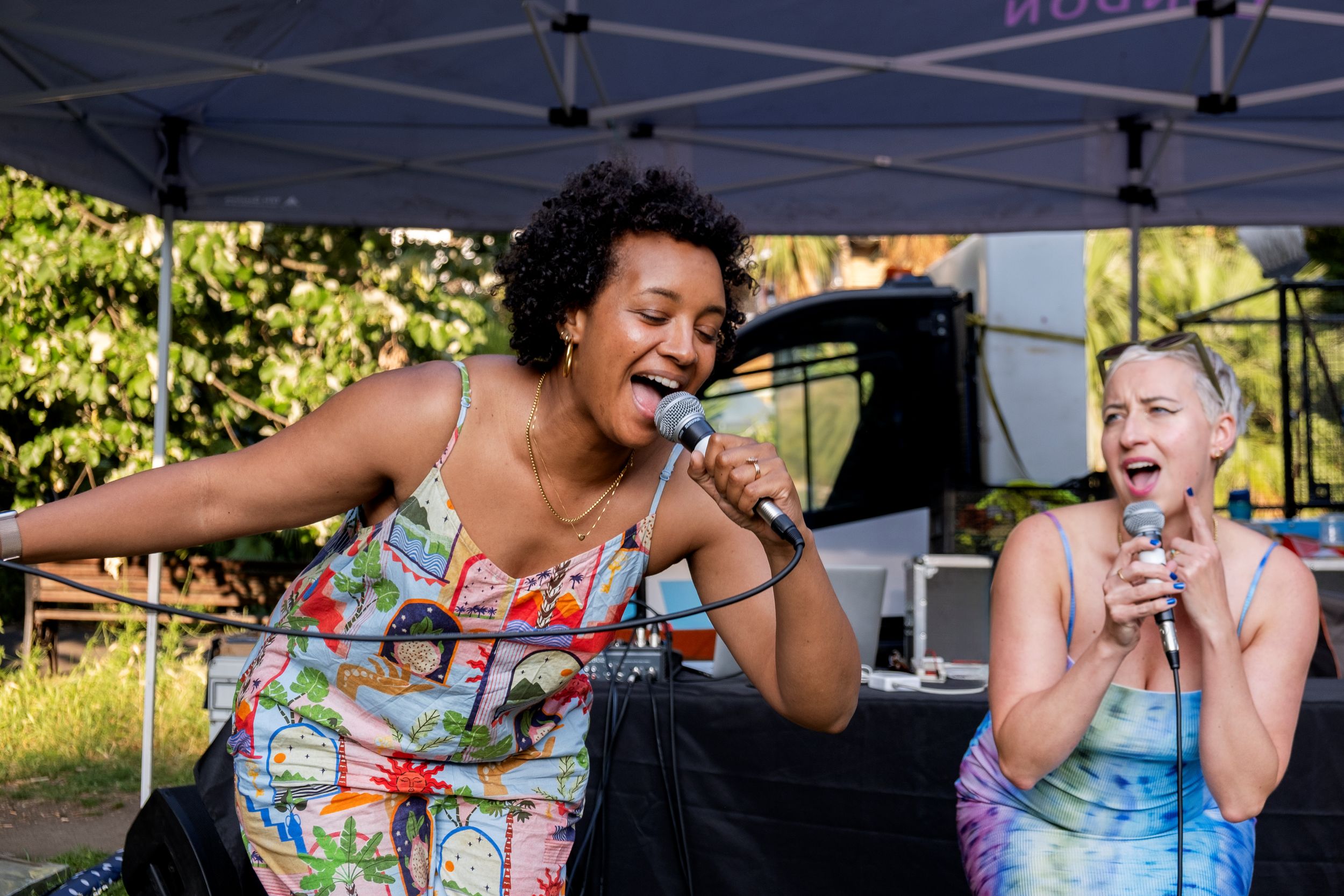 Bearpit Karaoke