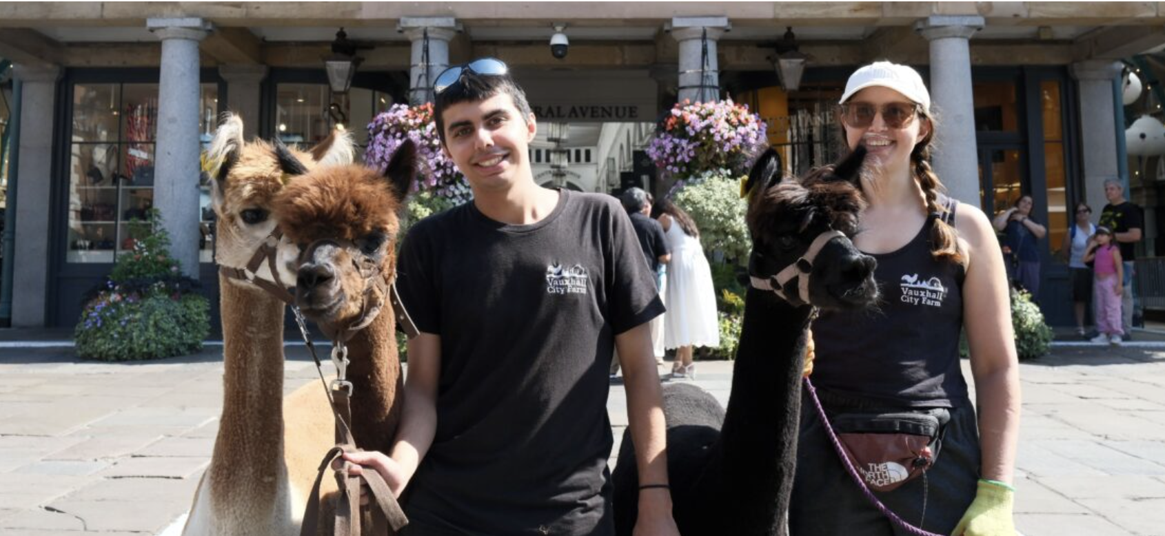 Family Farm Day – Covent Garden