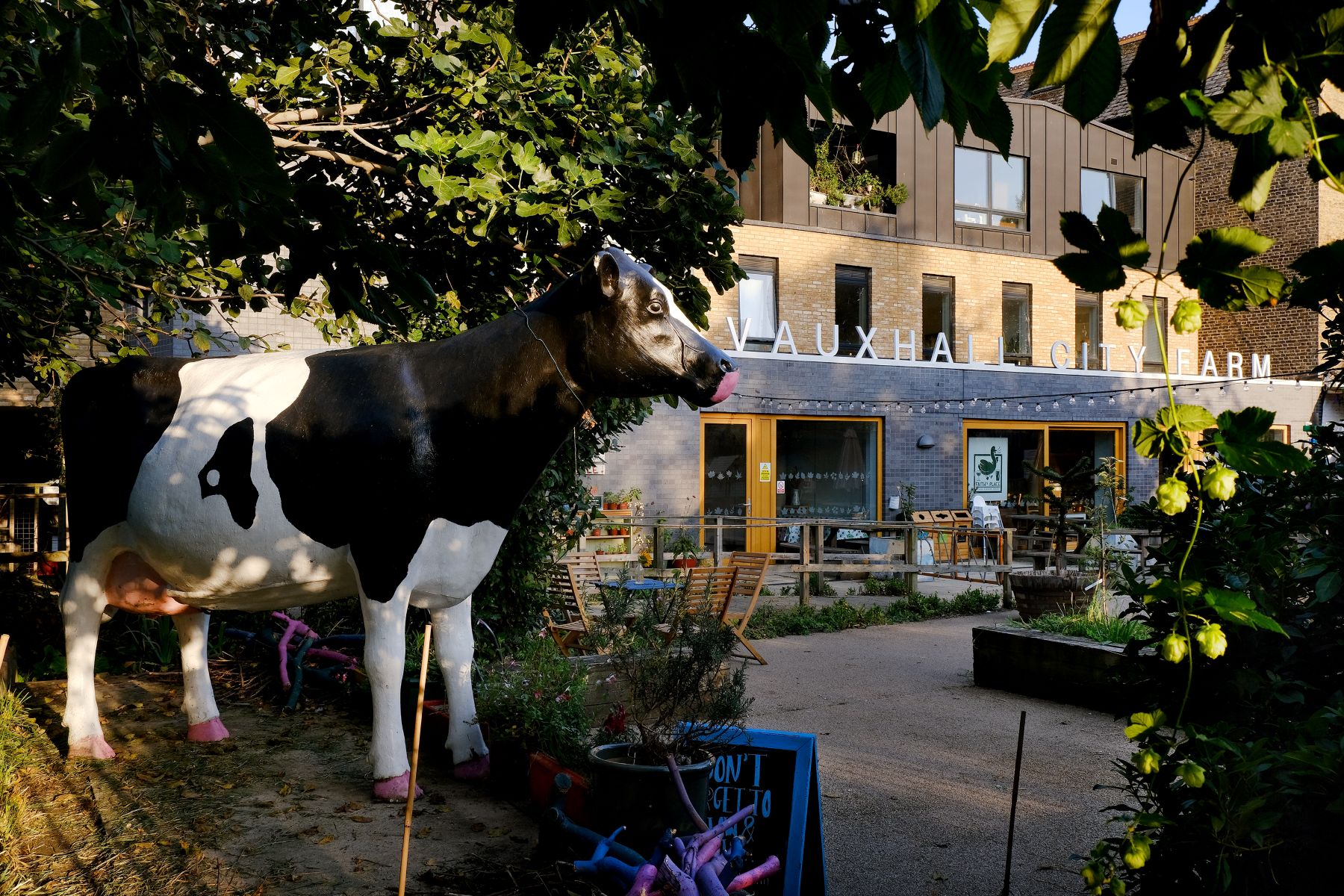 The Old Dairy Café at Vauxhall City Farm